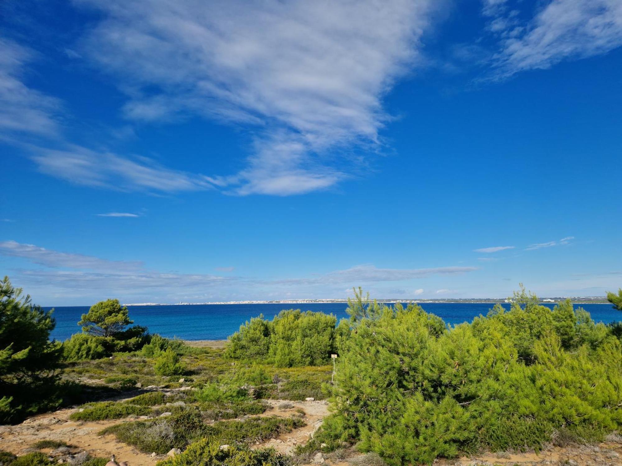 Villa Maria In Puglia Con Pineta Vicino Al Mare Torre Suda Exterior photo