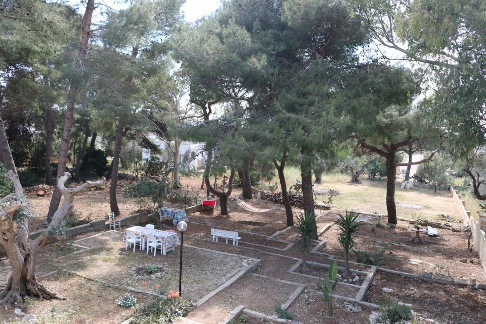 Villa Maria In Puglia Con Pineta Vicino Al Mare Torre Suda Exterior photo