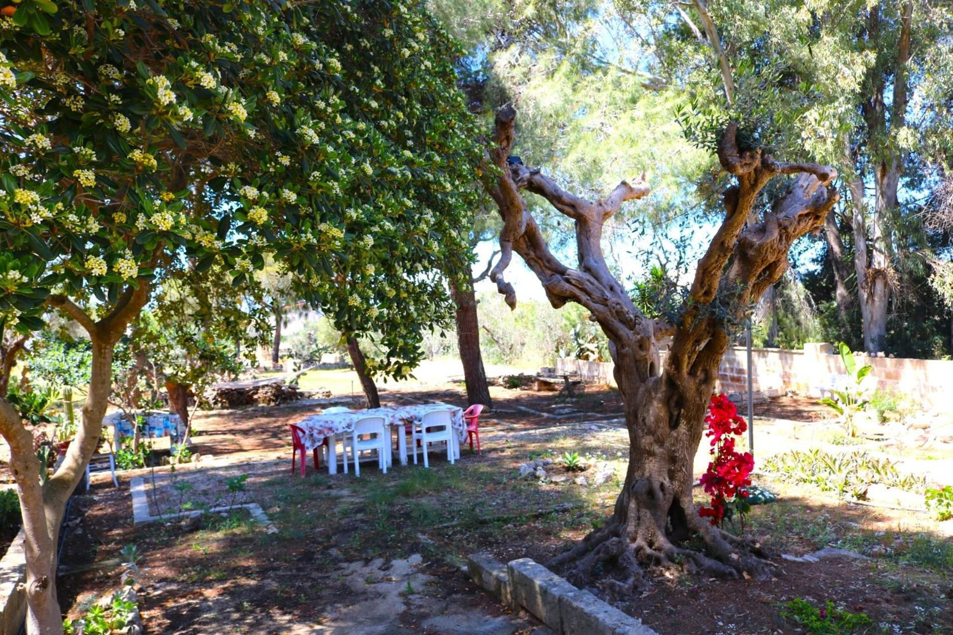 Villa Maria In Puglia Con Pineta Vicino Al Mare Torre Suda Exterior photo